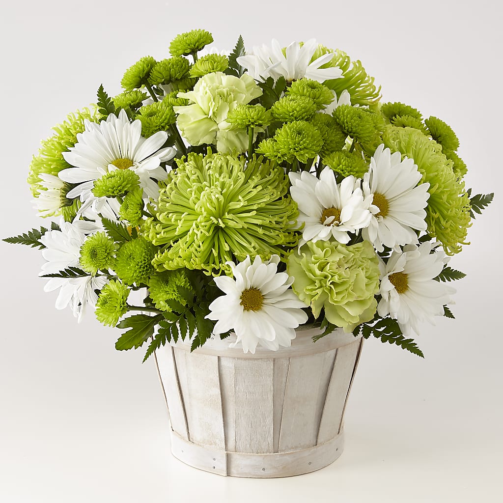 Lucky Charm Basket (Standard) – New Rochelle Florist, New Rochelle NY