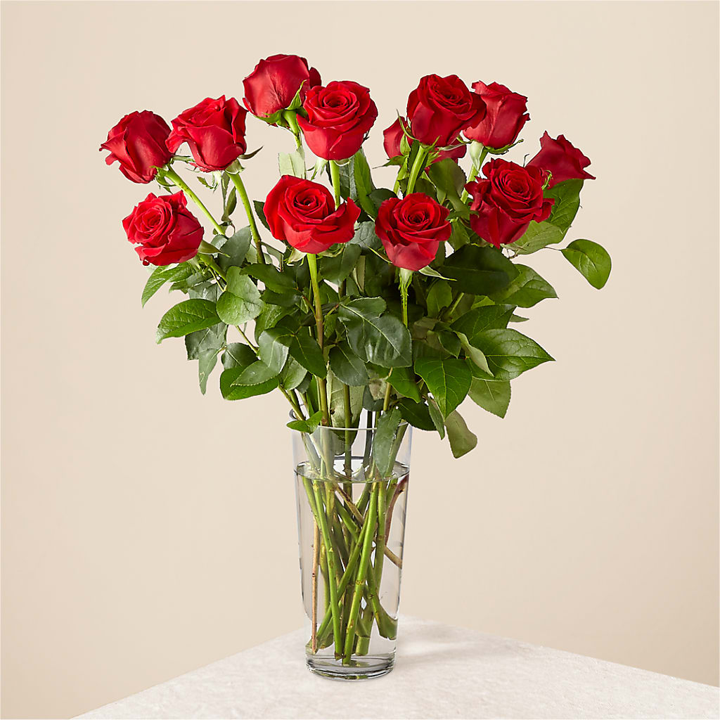 Long Stem Red Rose Bouquet – New Rochelle Florist, New Rochelle NY