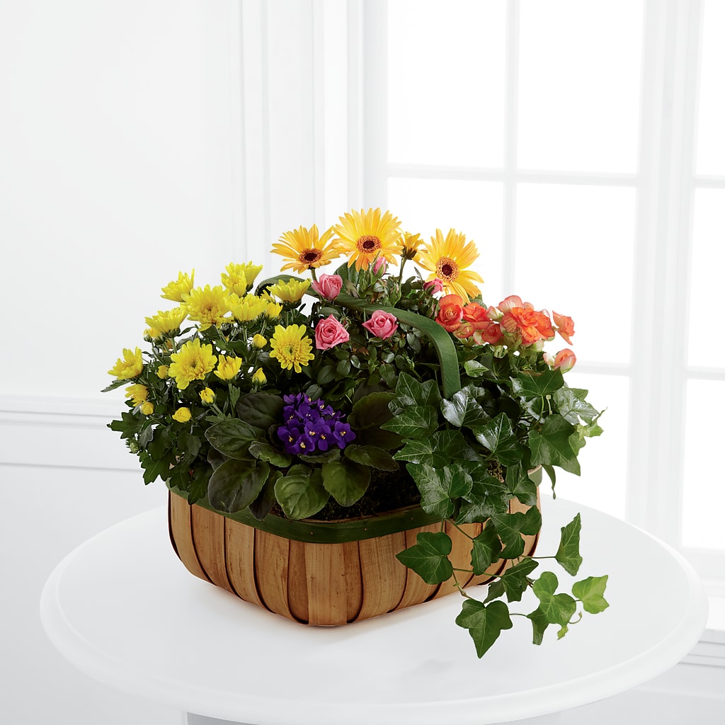 Gentle Blossoms Basket – New Rochelle Florist, New Rochelle NY