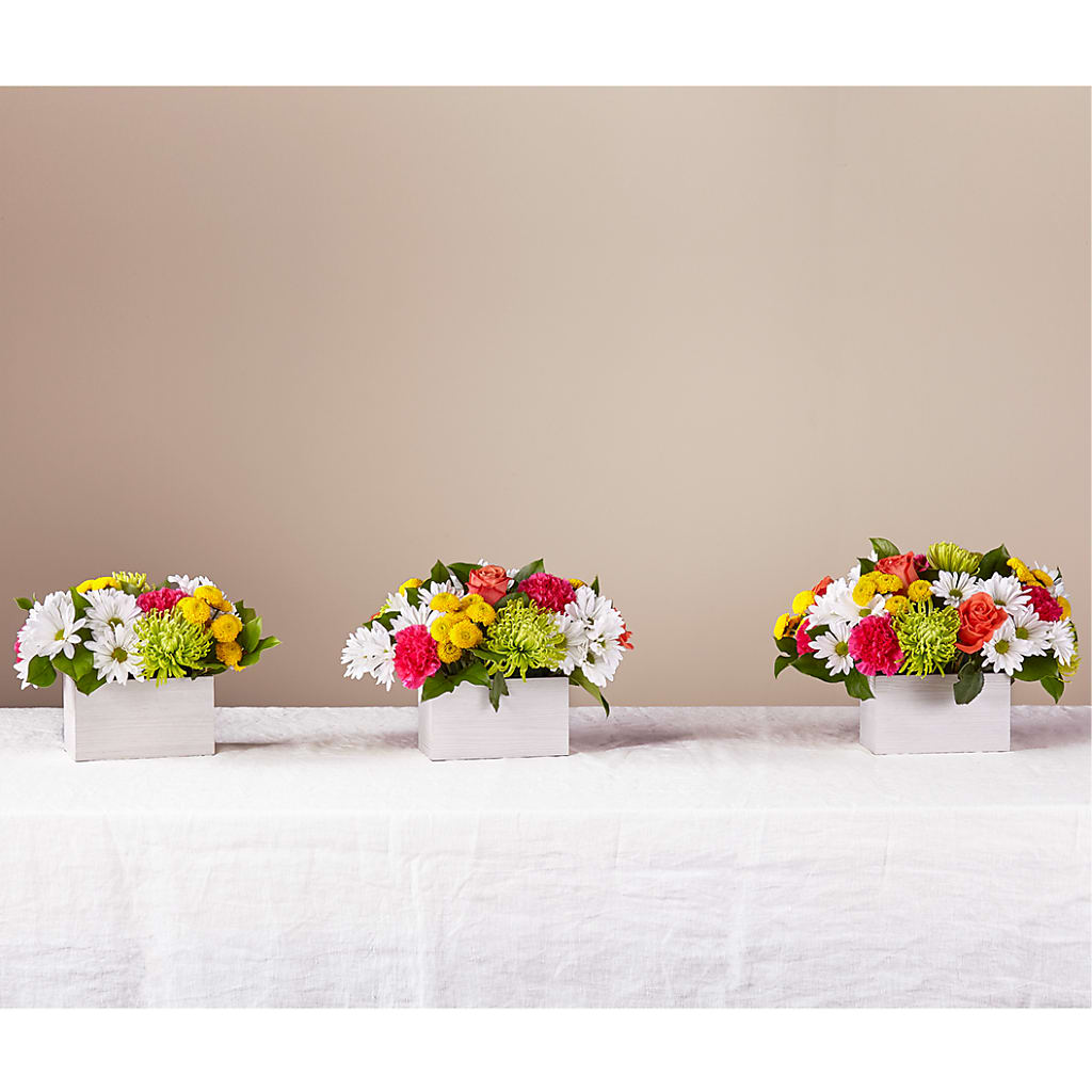 Sorbet Bouquet – New Rochelle Florist, New Rochelle NY