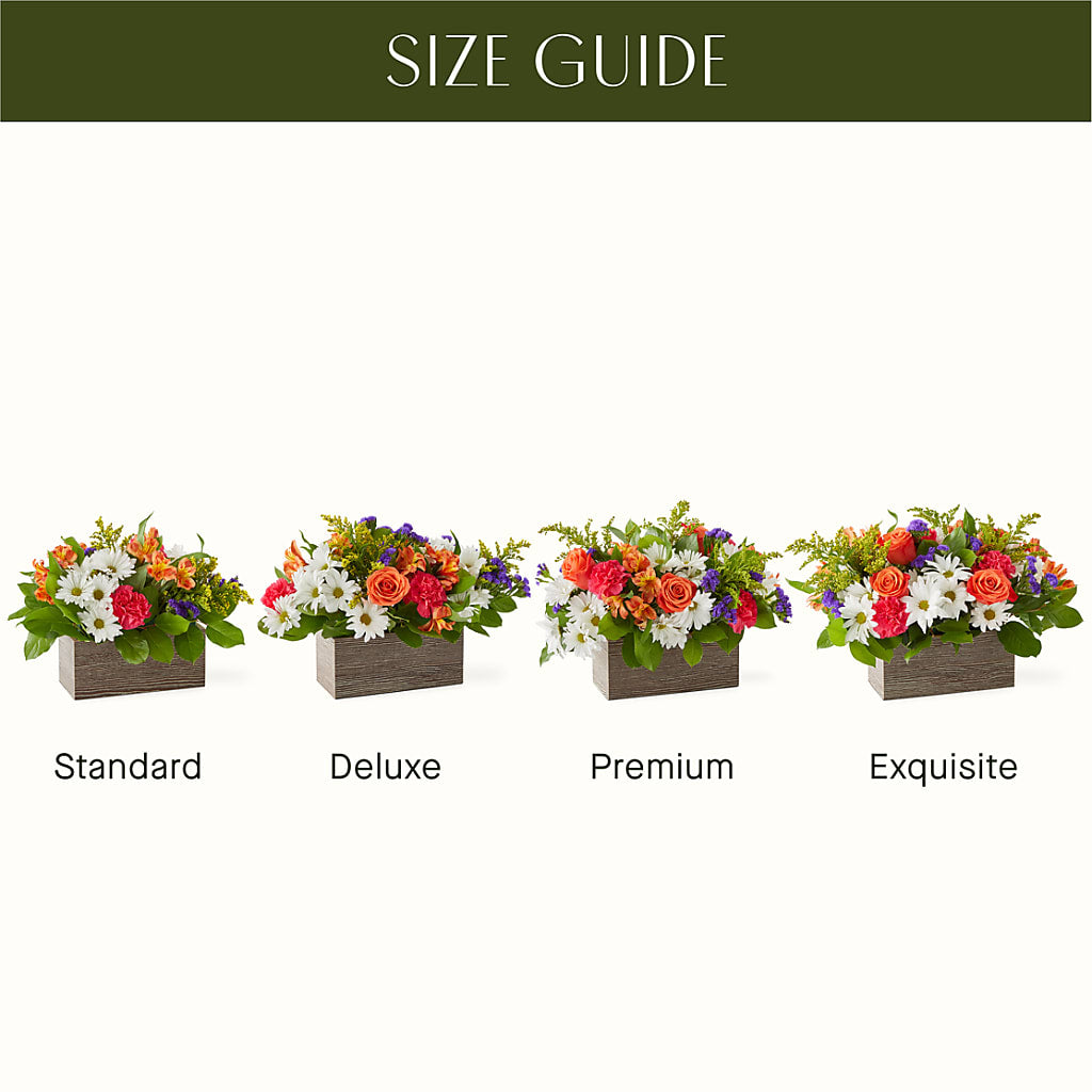 Oopsie Daisy Box Bouquet – New Rochelle Florist, New Rochelle NY