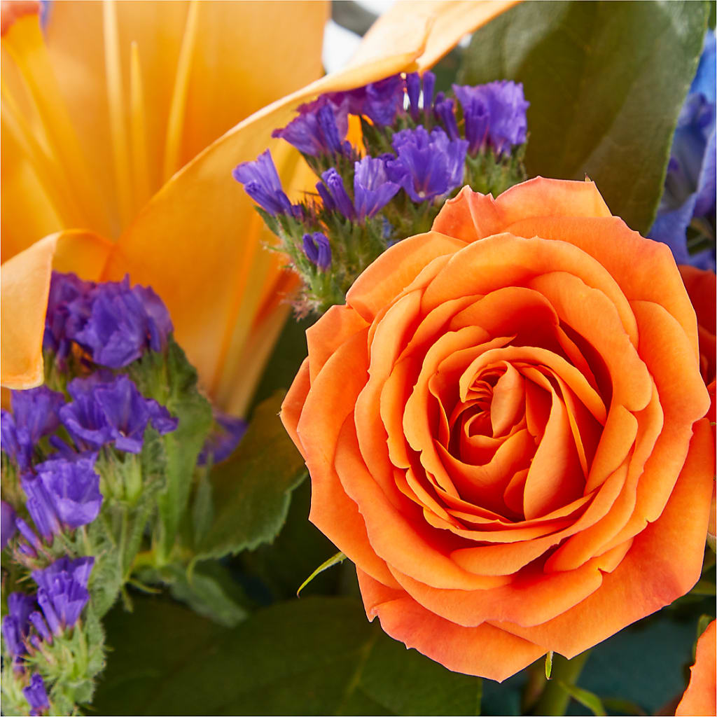 Radiant Citrus Box Bouquet – New Rochelle Florist, New Rochelle NY