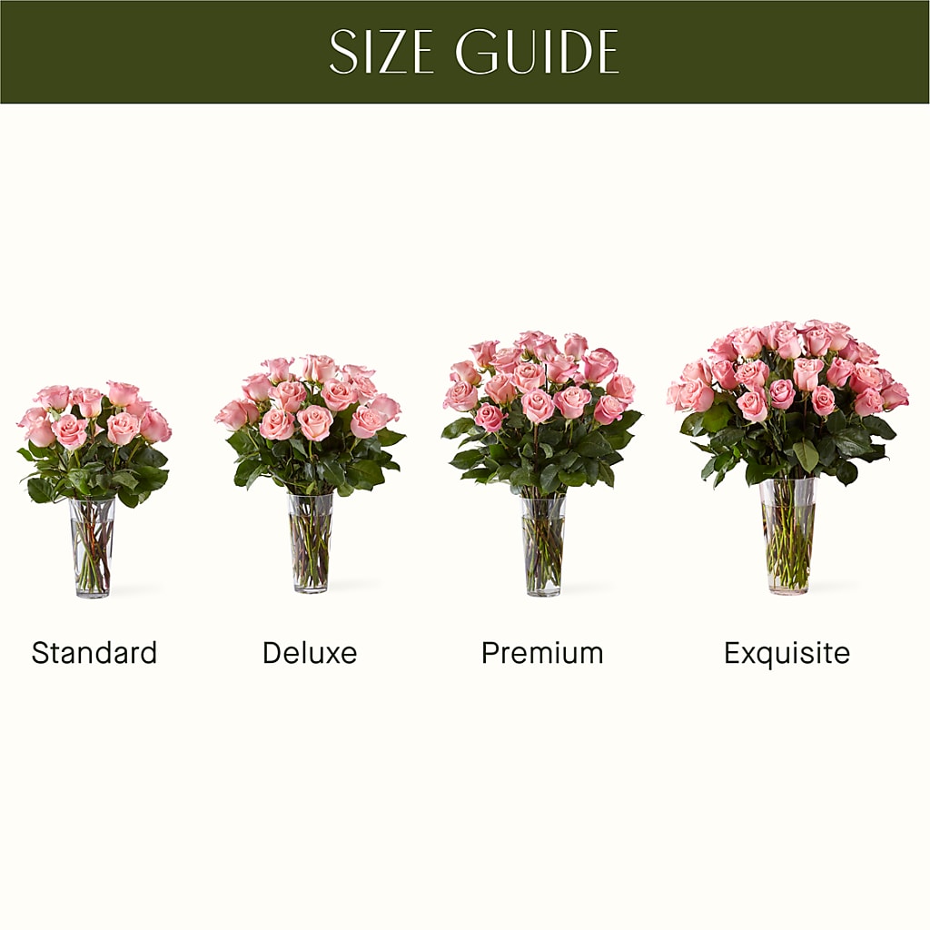 Long Stem Pink Rose Bouquet – New Rochelle Florist, New Rochelle NY
