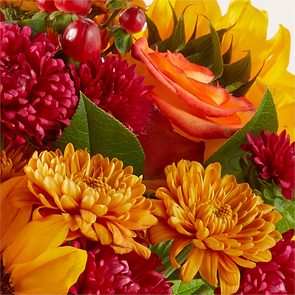 Sweater Season - A Florist Original – New Rochelle Florist, New Rochelle NY