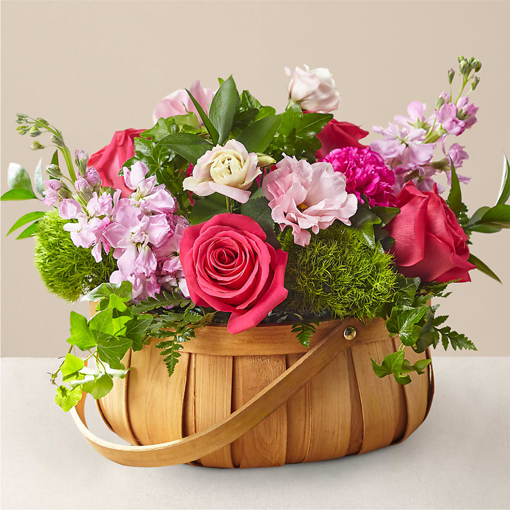 Radiance in Bloom Basket – New Rochelle Florist, New Rochelle NY