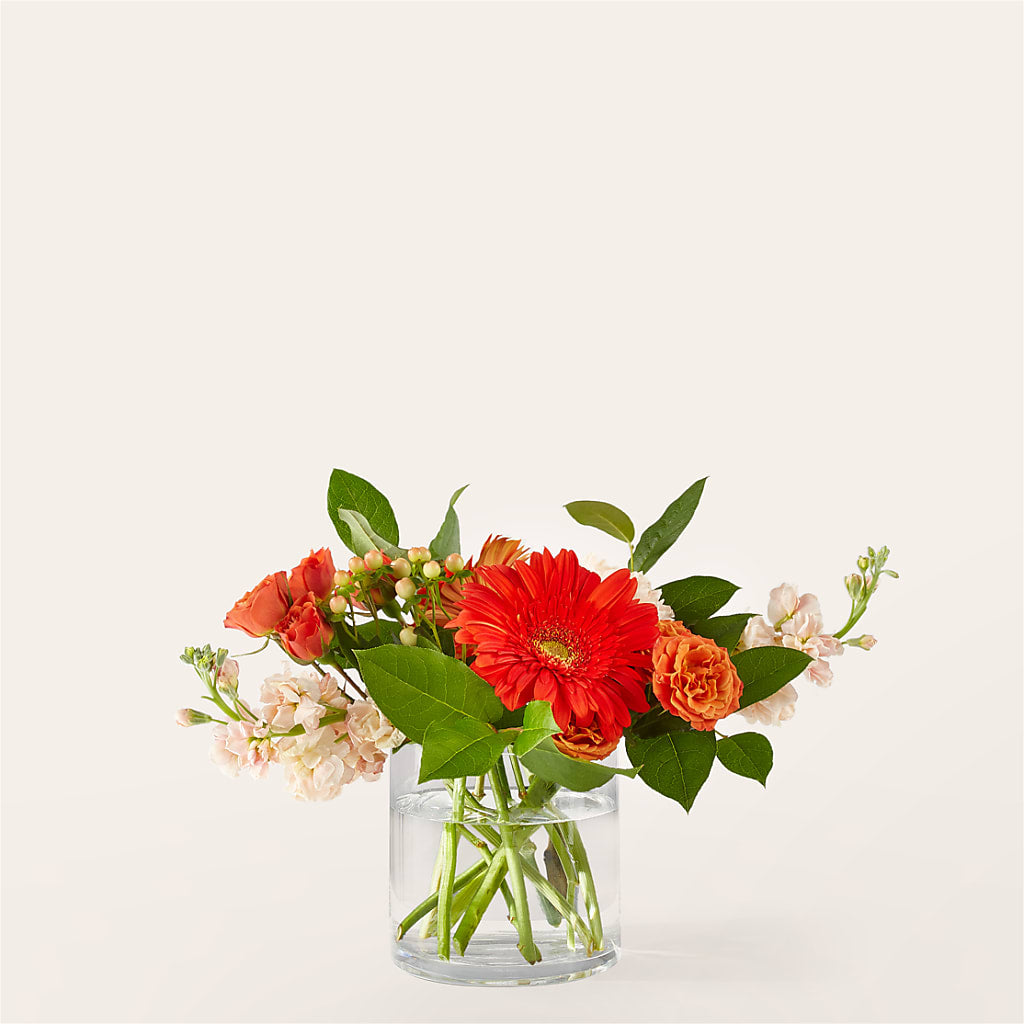 Paloma Please Bouquet – New Rochelle Florist, New Rochelle NY