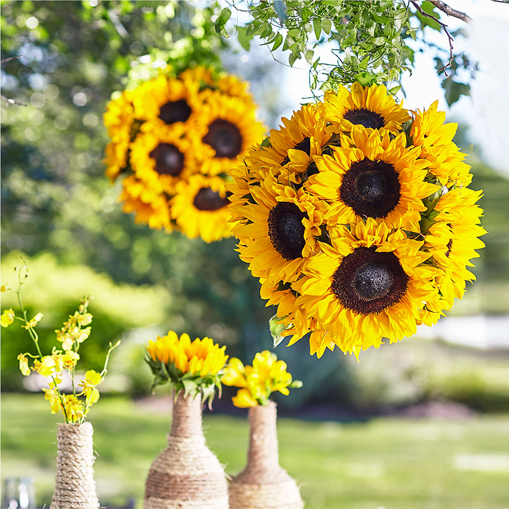 Sublime Garden Hanging Arrangement – New Rochelle Florist, New Rochelle NY