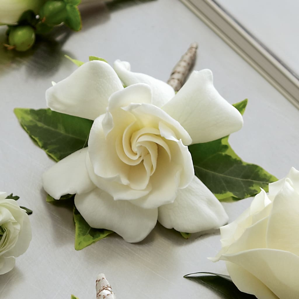 Gardenia Boutonniere – New Rochelle Florist, New Rochelle NY