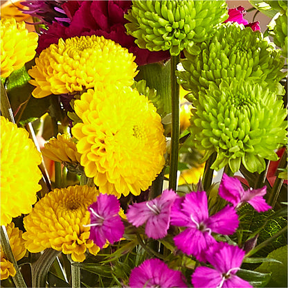 Bold & Bright – A Florist Original –  New Rochelle Florist, New Rochelle NY