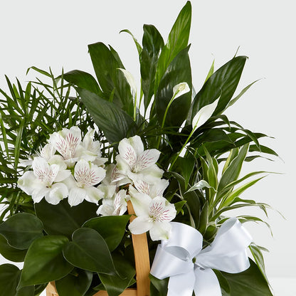 Peace & Serenity Dishgarden –  New Rochelle Florist, New Rochelle NY