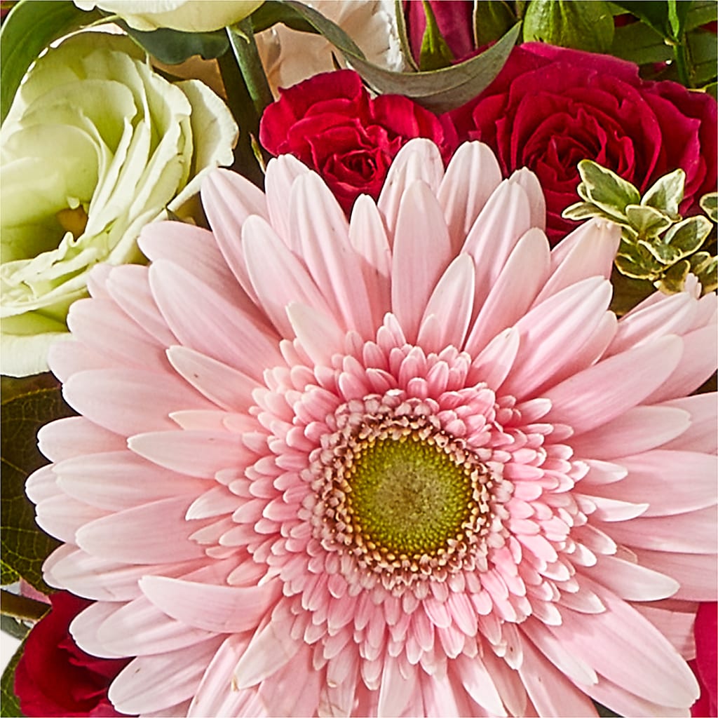 Too Cute Bouquet –  New Rochelle Florist, New Rochelle NY
