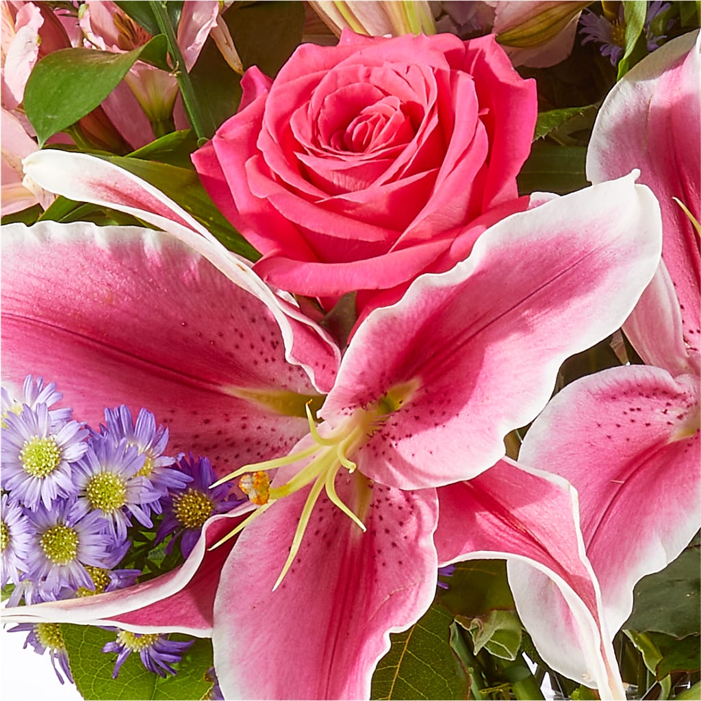 Written in the Stars Bouquet –  New Rochelle Florist, New Rochelle NY