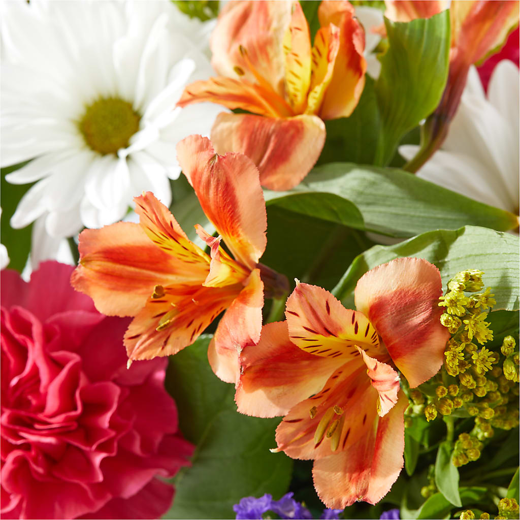 Oopsie Daisy Box Bouquet –  New Rochelle Florist, New Rochelle NY