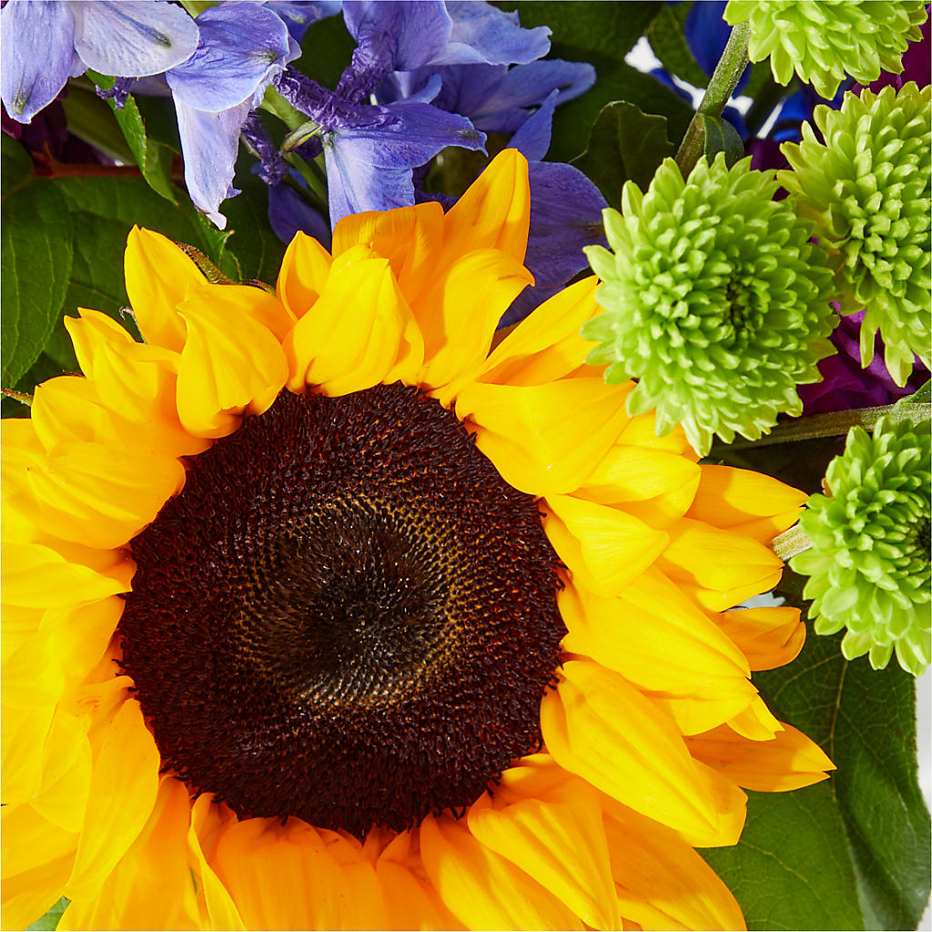 Catching Rays Bouquet –  New Rochelle Florist, New Rochelle NY