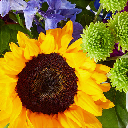 Catching Rays Bouquet –  New Rochelle Florist, New Rochelle NY