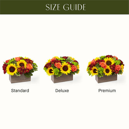 Happy Harvest Garden –  New Rochelle Florist, New Rochelle NY