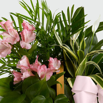Living Spirit Dishgarden –  New Rochelle Florist, New Rochelle NY
