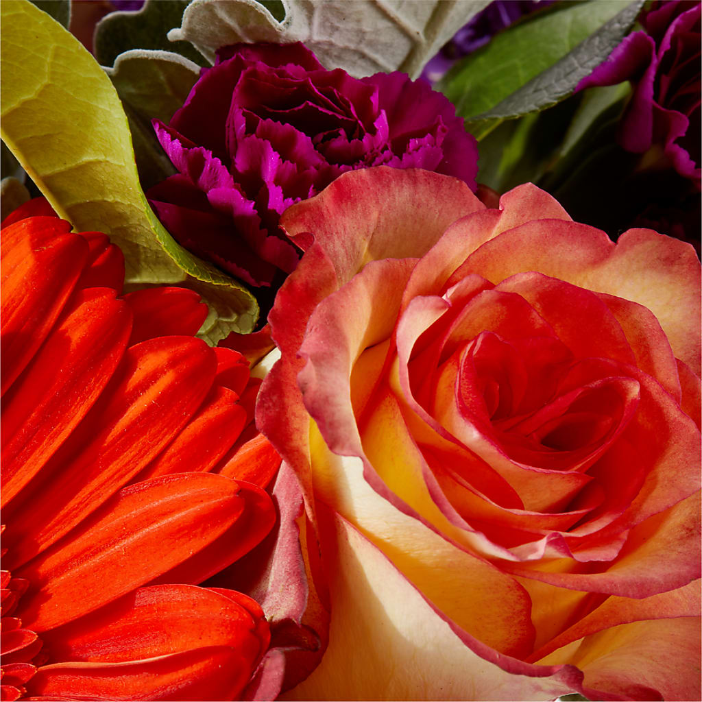Sangria Bouquet –  New Rochelle Florist, New Rochelle NY