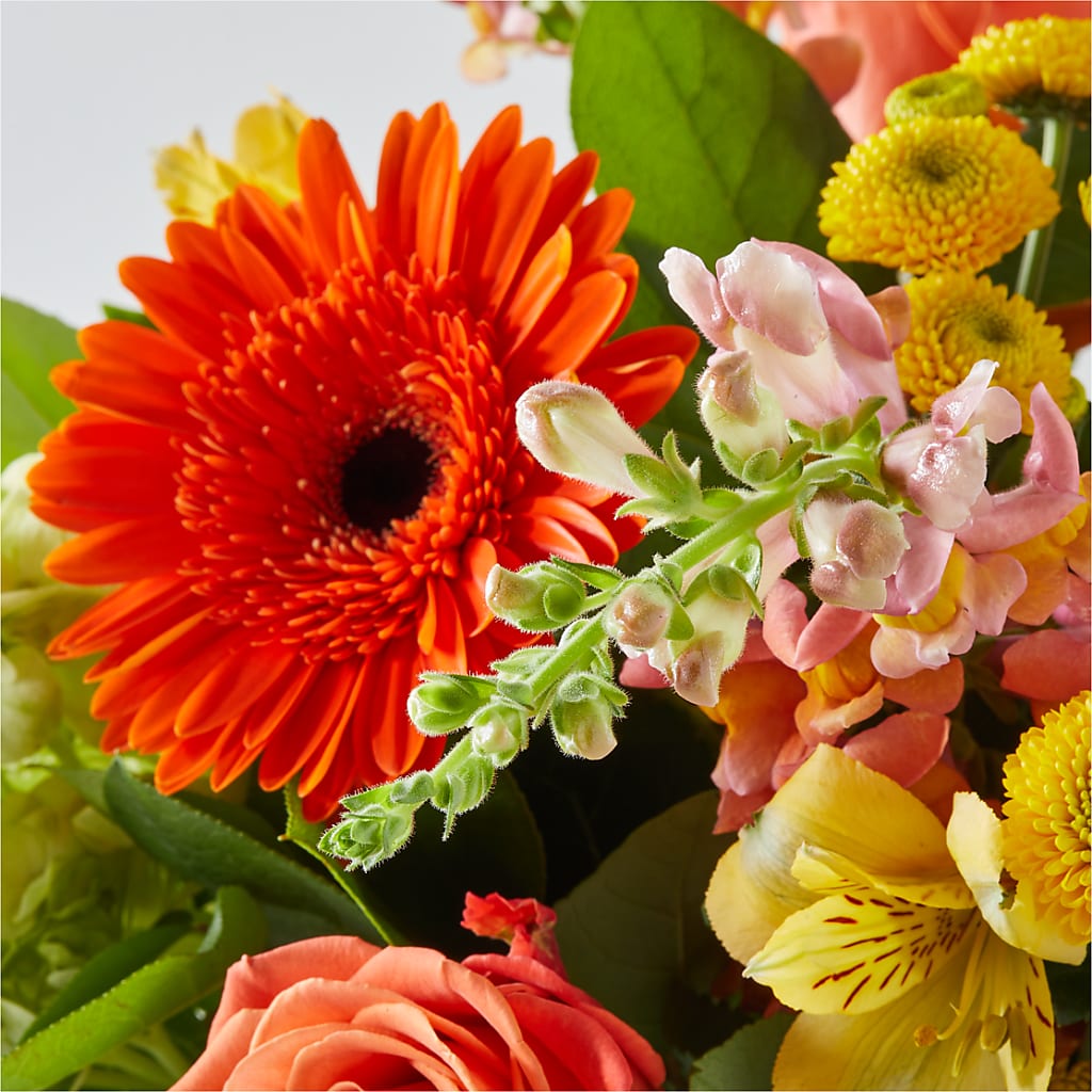 Autumn Sunshine Bouquet –  New Rochelle Florist, New Rochelle NY