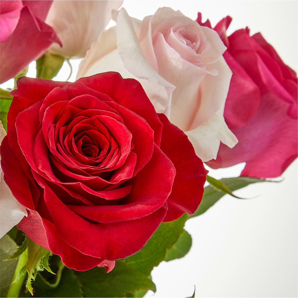 Charming Rose Bouquet –  New Rochelle Florist, New Rochelle NY
