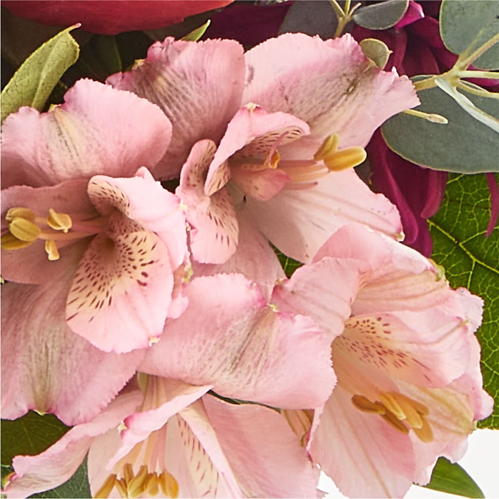 Berry Cobbler Bouquet –  New Rochelle Florist, New Rochelle NY
