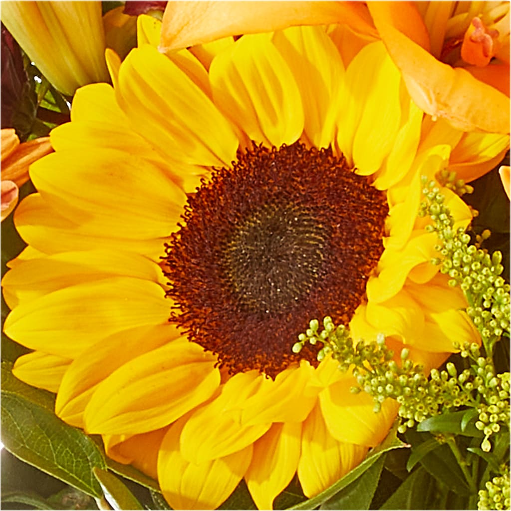 Seasons Change Bouquet –  New Rochelle Florist, New Rochelle NY