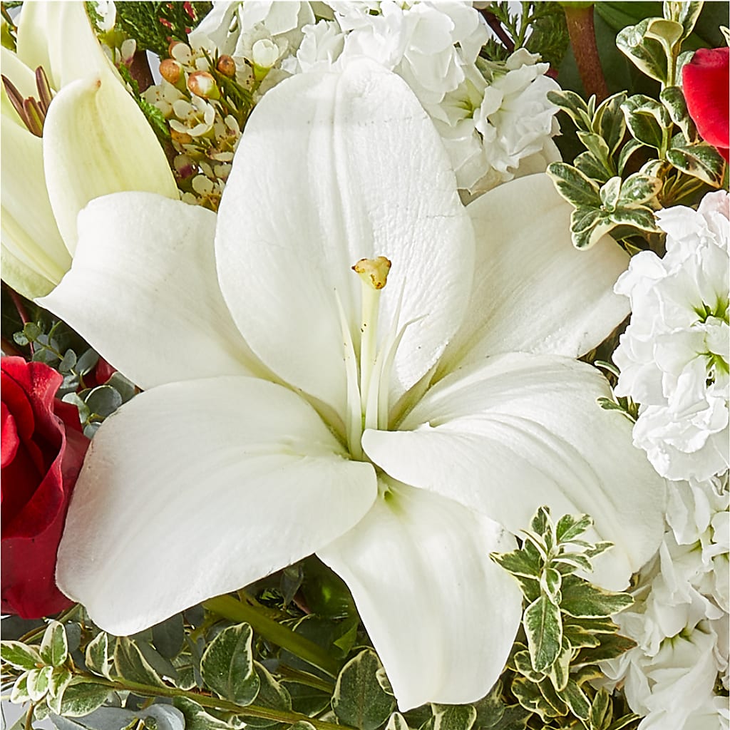 Twinkle Lights Bouquet –  New Rochelle Florist, New Rochelle NY