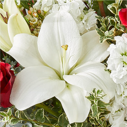 Twinkle Lights Bouquet –  New Rochelle Florist, New Rochelle NY