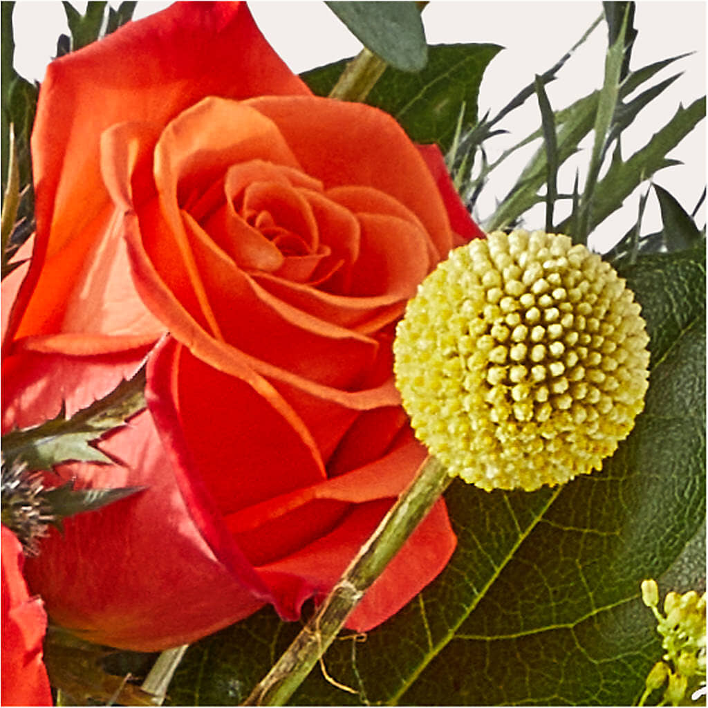 Disco Bouquet –  New Rochelle Florist, New Rochelle NY