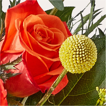 Disco Bouquet –  New Rochelle Florist, New Rochelle NY
