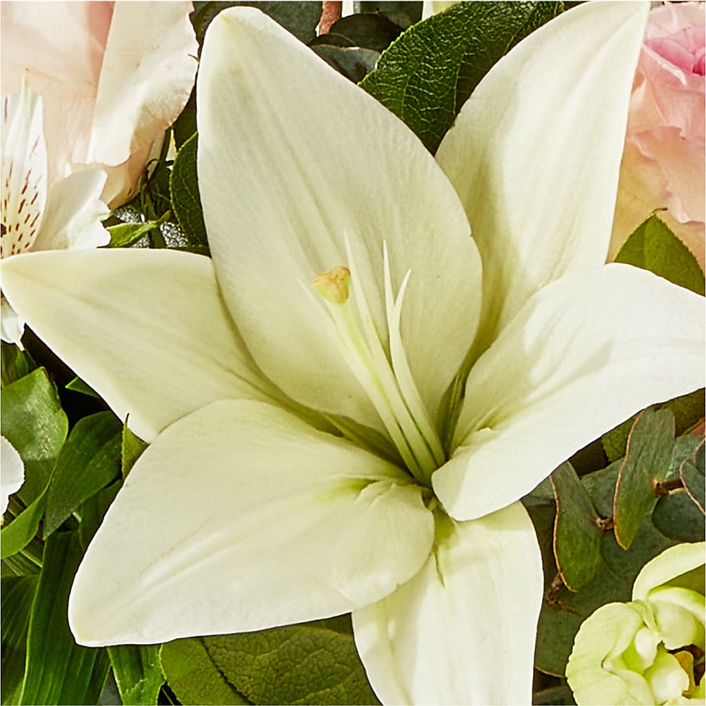 Ballet Slippers Bouquet –  New Rochelle Florist, New Rochelle NY