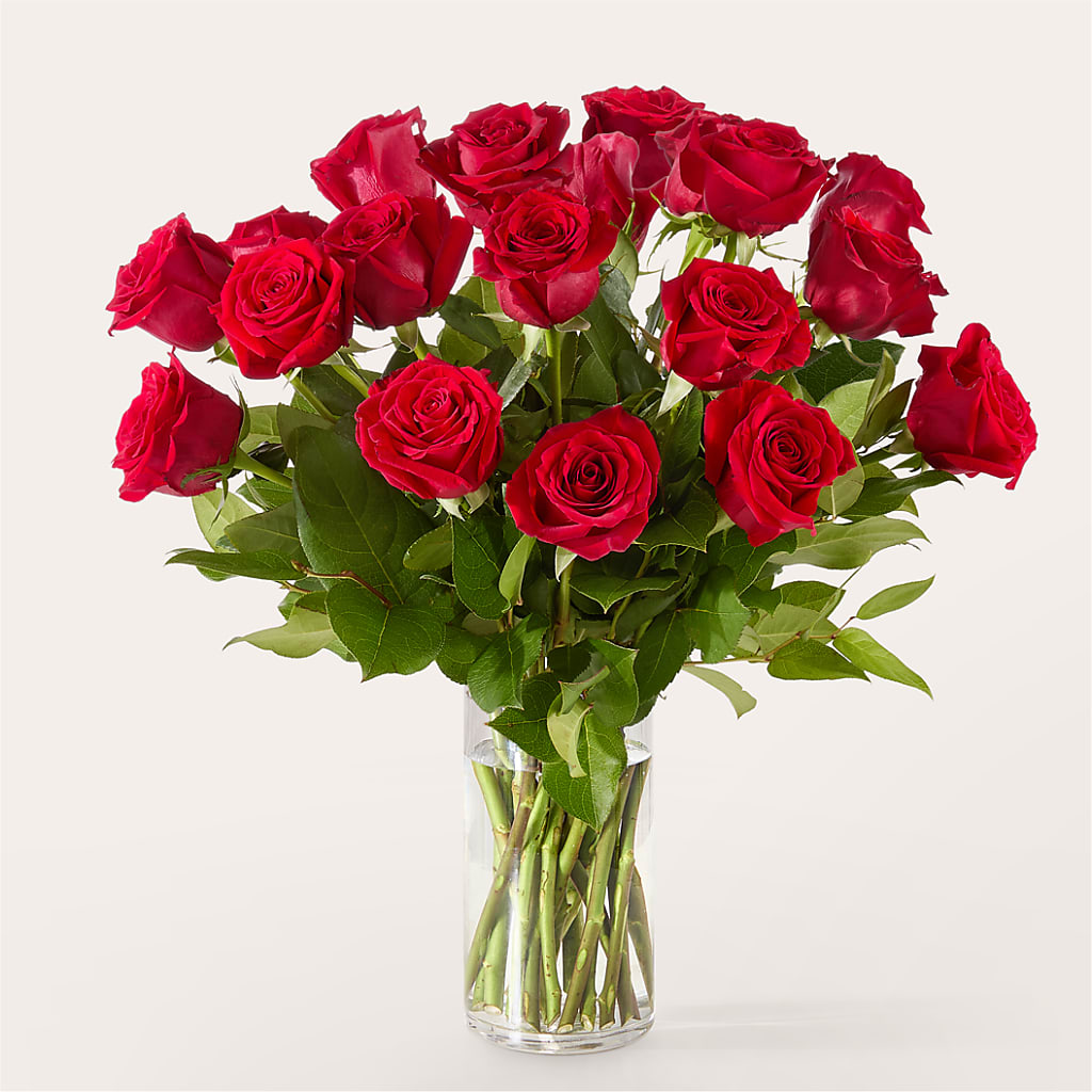 The One Red Rose Bouquet –  New Rochelle Florist, New Rochelle NY