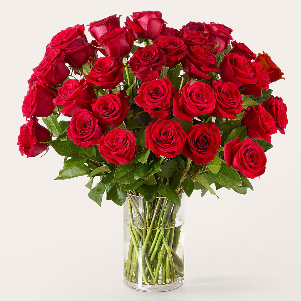 The One Red Rose Bouquet –  New Rochelle Florist, New Rochelle NY