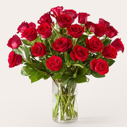 The One Red Rose Bouquet –  New Rochelle Florist, New Rochelle NY