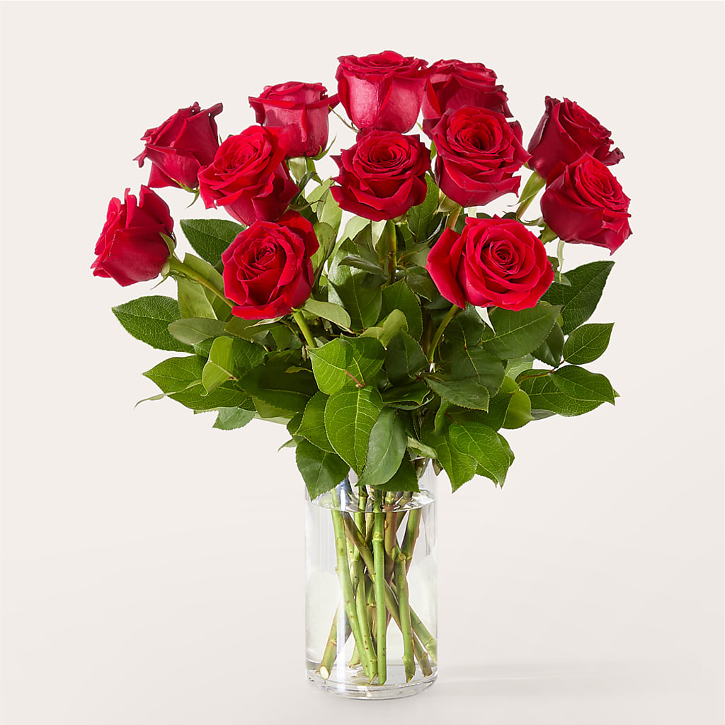 The One Red Rose Bouquet –  New Rochelle Florist, New Rochelle NY