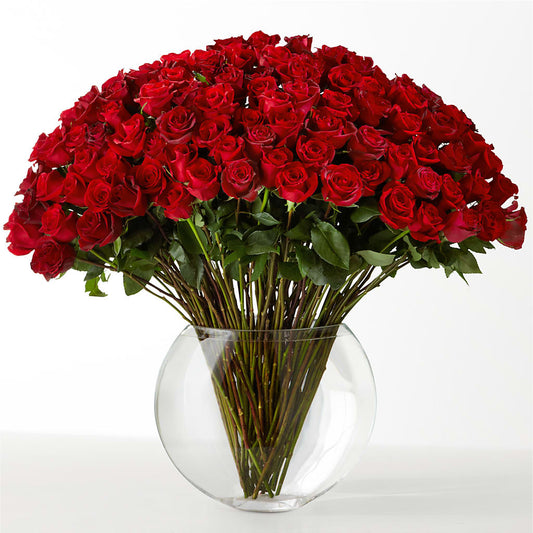 The Idealist –  New Rochelle Florist, New Rochelle NY
