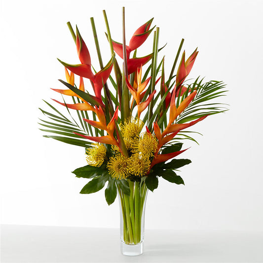 The Drama –  New Rochelle Florist, New Rochelle NY