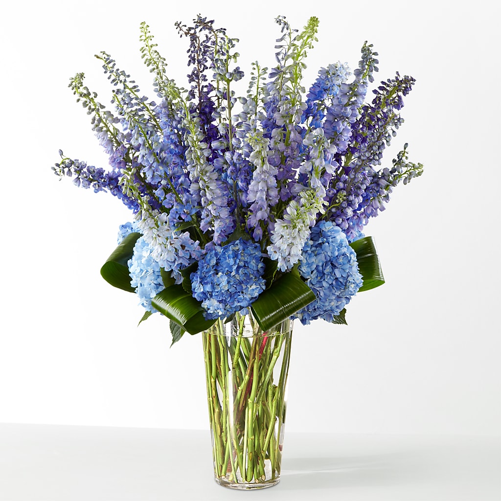 The Editorial –  New Rochelle Florist, New Rochelle NY
