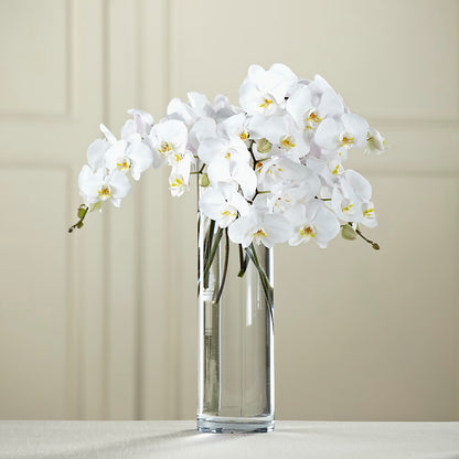 White Phalaenopsis Bouquet –  New Rochelle Florist, New Rochelle NY
